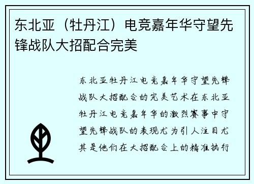 东北亚（牡丹江）电竞嘉年华守望先锋战队大招配合完美