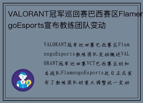 VALORANT冠军巡回赛巴西赛区FlamengoEsports宣布教练团队变动