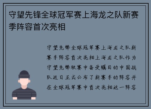守望先锋全球冠军赛上海龙之队新赛季阵容首次亮相