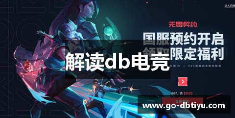 解读db电竞